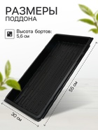 Поддон для рассады, 55×30×5.6 см, пластик, чёрный, Greengo - Фото 2