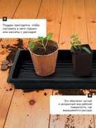 Поддон для рассады, 55×30×5.6 см, пластик, чёрный, Greengo - Фото 4