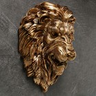 Подвесной декор "Голова льва" золото, 23х35х52см - фото 3446433
