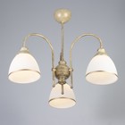 Люстра "Дэфия" 3хЕ27 40Вт золото 57х57х40 см BayerLux - фото 23161412