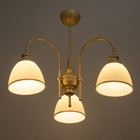 Люстра "Дэфия" 3хЕ27 40Вт золото 57х57х40 см BayerLux - фото 23161413