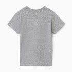 Футболка для мальчика, цвет серый меланж, рост 116 см - фото 25305936