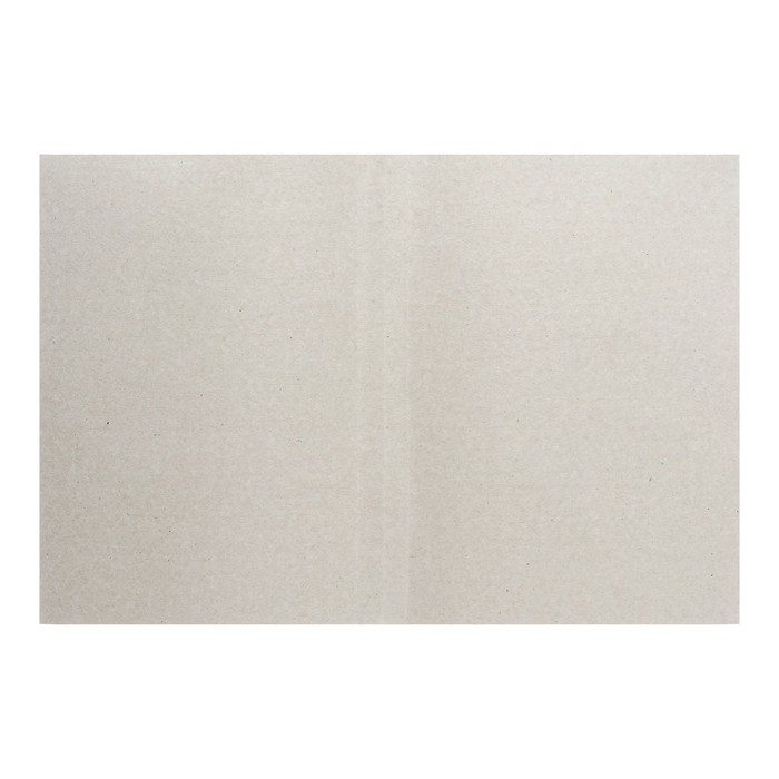 Папка "Дело" карт., бел., пл. 250 г/кв.м (на 300 листов)