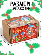 Ёлочные шары-игрушки, 3 шт., фигурки под роспись, новогодний набор для творчества - Фото 2