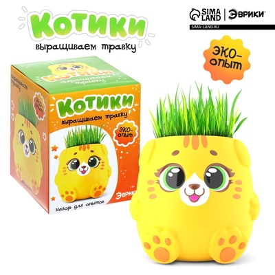 Набор для опытов, для детей «Котики. Выращиваем травку», растение в жёлтом горшочке