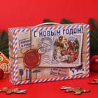 Новогодний подарок "Посылка от деда мороза", 750 г 10089006 - фото 11429933