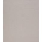 Штора рулонная «Лайт», 38х175 см, цвет светло-серый - Фото 2