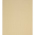 Штора рулонная «Лайт», 38х175 см, цвет шампань - Фото 2
