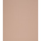 Штора рулонная «Лайт», 42,5х175 см, цвет миндаль - Фото 2
