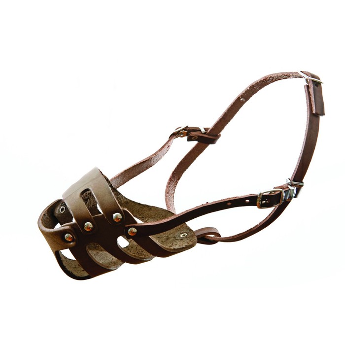 Намордник кожаный цельнокроеный для добермана - Фото 1
