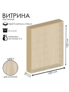 Витрина настенная, 6 полок, 1000×200×1200 мм, ЛДСП, стекло цвет дуб сонома 10120658