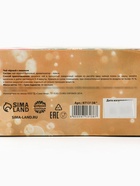 Чай новогодний чёрный «Время волшебства», с лимоном, в коробке-ёлке, 100 г - Фото 7