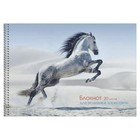 Альбом для эскизов А4, 20 листов на гребне "Грациозная лошадь", обложка мелованный картон, блок офсет 80 г/м2 - фото 320391404