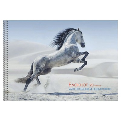 Альбом для эскизов А4, 20 листов на гребне "Грациозная лошадь", обложка мелованный картон, блок офсет 80 г/м2