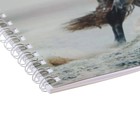 Альбом для эскизов А4, 20 листов на гребне "Грациозная лошадь", обложка мелованный картон, блок офсет 80 г/м2 - Фото 3