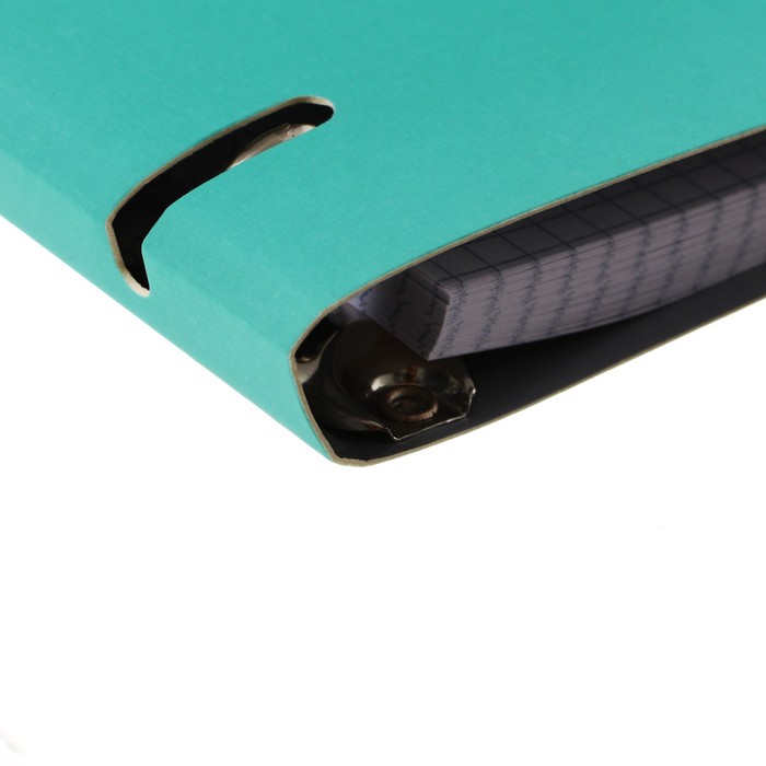 Тетрадь на кольцах А5, 100 листов в клетку "ColourMania. Дизайн 21", обложка мелованный картон, ламинация soft touch, тиснение фольгой, блок 70 г/м2