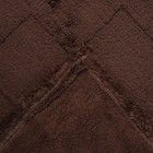 Плед Лора арт.70 150х205см, велсофт 250г/м, пэ 100% - Фото 3