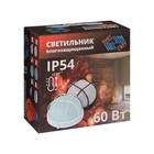 Светильник НБП 03-60-002, УХЛ1, 60Вт, Е27, 220В, IP54, белый - фото 23156305