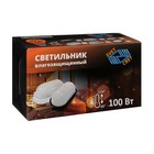 Светильник НБП 04-100-001 УХЛ1, 100Вт, Е27, 220В, IP54, белый - фото 23156315