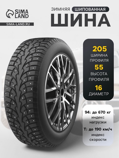 Шина зимняя шипованная ROADMARCH WinterXPro Studs 68 205/55 R=16 94T