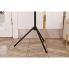 Вешалка напольная LaDо́m, 170 см, чёрная - Фото 5