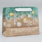 Пакет крафтовый горизонтальный «Счастья в Новом году», MS 23 х 18 х 10 см, Новый год - фото 23311526