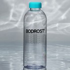 Бутылка BODROST, 1000 мл - фото 4400045