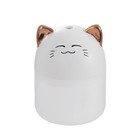 Ночник-увлажнитель "Тигрёнок" LED 2Вт USB 250мл белый 8,4х8,4х10,8 см RISALUX 9863781 - фото 11381284