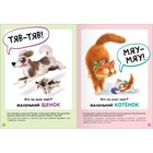 Книги детские «Базовый курс. Школа семи гномов», набор 6 шт., 1+, Денисова Д. - Фото 12