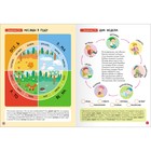 Книги детские «Базовый курс. Школа семи гномов», набор 6 шт., 5+, Денисова Д. - Фото 11