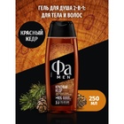 Гель для душа Fa Men Red Cedarwood, 250 мл 10132163 - фото 12464101