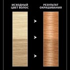 Краска для волос Syoss Permanent Coloration, 16-1337 коралловое золото - Фото 2