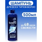 Шампунь для мужчин Shamtu «Против перхоти», 500 мл 10132352 - фото 1217464