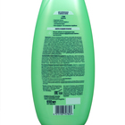 Шампунь Шаума «7 Трав», 650 мл - фото 24702859