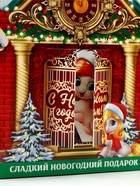 Сладкий детский новогодний подарок «Сказочный дом»: конфеты с раскраской, 500 г - Фото 4