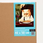 Картина по номерам на холсте с подрамником «Недовольный кот» 40×50 см 9898598 - фото 16528311