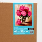 Картина по номерам на холсте с подрамником «Пионы» 40×50 см 9898599 - фото 16528317