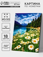 Картина по номерам на холсте с подрамником "Ромашковое поле" 40*50 см - фото 120723872