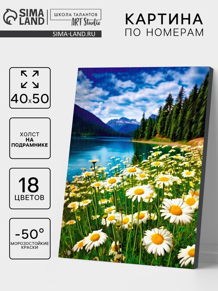 Картина по номерам на холсте с подрамником "Ромашковое поле" 40*50 см - Фото 1