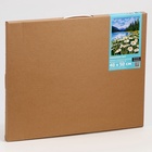 Картина по номерам на холсте с подрамником "Ромашковое поле" 40*50 см - фото 120723876