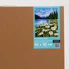 Картина по номерам на холсте с подрамником "Ромашковое поле" 40*50 см - фото 120723877