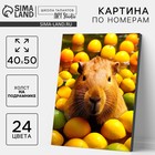 Картина по номерам на холсте с подрамником «Капибара в пруду», 40×50 см - Фото 1