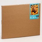 Картина по номерам на холсте с подрамником «Капибара в пруду», 40×50 см - Фото 2