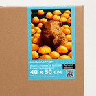 Картина по номерам на холсте с подрамником «Капибара в пруду», 40×50 см - Фото 6