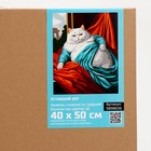 Картина по номерам на холсте с подрамником "Уставший кот" 40*50 см 9898636 - фото 14655609