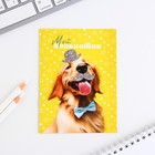 МИКС Блокнотов А6, 12 листов «Звери» (комплект 4 шт) - фото 23127355