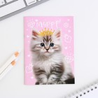 МИКС Блокнотов А6, 12 листов «Звери» (комплект 4 шт) - фото 23127358