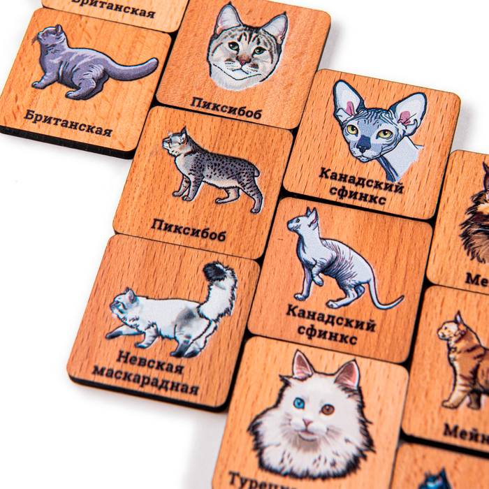Мемори «Кошки», в картонной коробочке - фото 1906445329