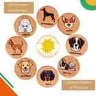 Мемори «Собачки», в тубусе - фото 23114166