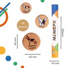 Мемори «Собачки», в тубусе - фото 23588696